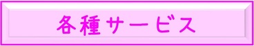 各種サービス