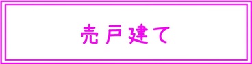 売戸建て